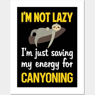 Funny Lazy Canyoning Canyoneering Posters and Art